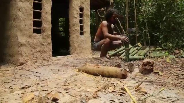 Дом из глины и бамбука с бассейном на крыше!) смотреть онлайн