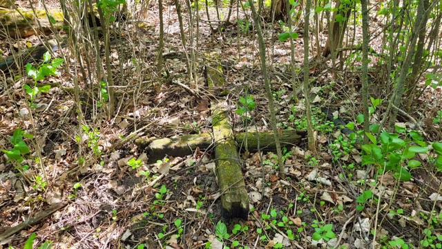 Емельяновка (Брянская область, Почепский район): фотоподборка смотреть онлайн