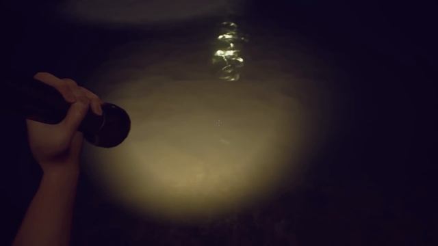 Beastiarium - СТРАШНЫЙ СТРАШНЫЙ ПЕТЕРБУРГ (прохождение на русском) #1 смотреть онлайн