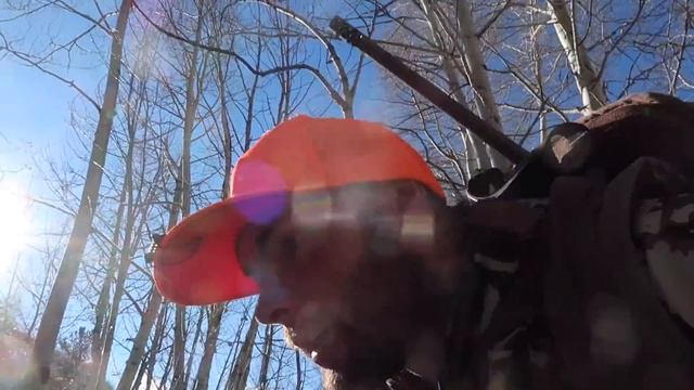 SHE GOT HIM AT 500 YARDS WITH THE WEATHERBY 30-378 смотреть онлайн