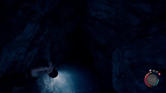 กับดักสุดปั่นของมือปราบมาร | Sons Of The Forest 1.0 #8 смотреть онлайн