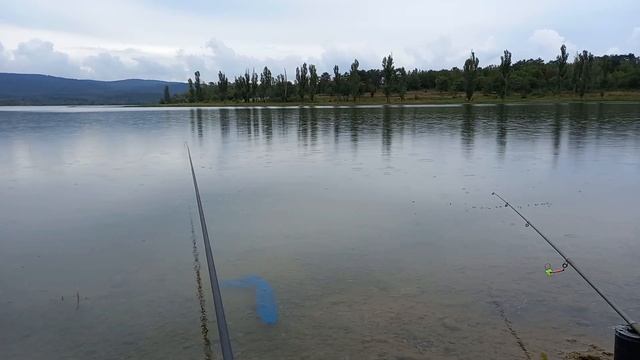 Разрушаем мифы о леще и карпе. смотреть онлайн