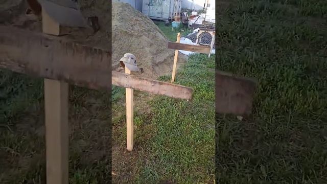 Приспособление для вязания арматурных каркасов