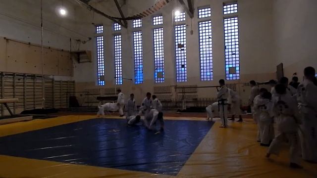 Семинар по тхэквондо (ИТФ) 19/ смотреть онлайн