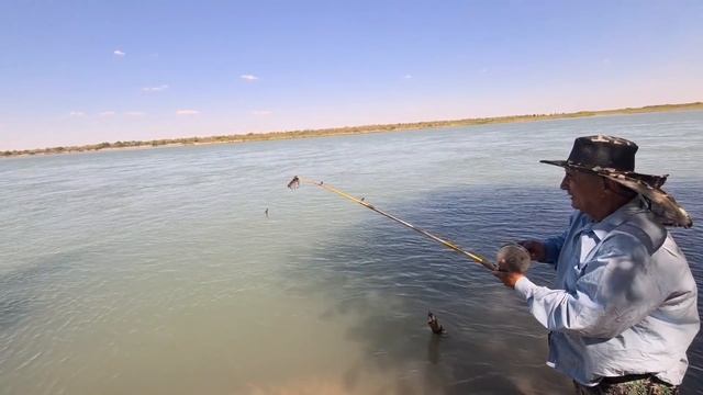 РЫБАЛКА НА РЕКЕ ИЛИ, ИЮЛЬ 2021, САЗАН, АМУР, ЖЕРИХ, КАРАСЬ, ВОБЛА БЕЗ ПРЕУКРАШЕНИЙ. смотреть онлайн