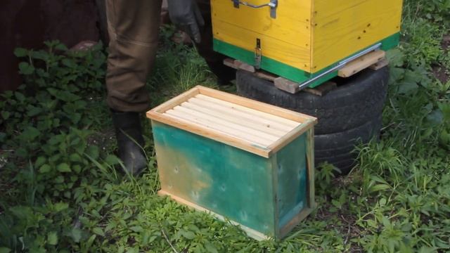 Пчёлы. Наващиваю рамки. Ставлю в улей смотреть онлайн