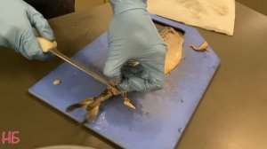 Как почистить и нарезать красиво слабосоленую скумбрию