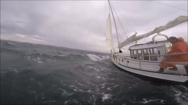 Storm Jib Sailing. Moderate Gale. смотреть онлайн