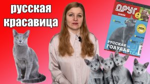 Русская голубая кошка. История и особенности породы