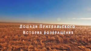 ЛОШАДИ ПРЖЕВАЛЬСКОГО. ИСТОРИЯ ВОЗВРАЩЕНИЯ