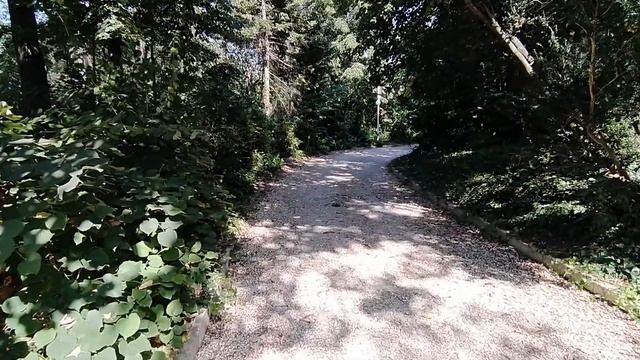 Евксиноград: летний дворец болгарских царей, Тодора Живкова и Министерского совета - какой он? смотреть онлайн