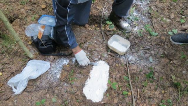 Жуткие встречи с Йети.В подмосковье.Учительница столкнулась с Йети у себя в огороде. смотреть онлайн