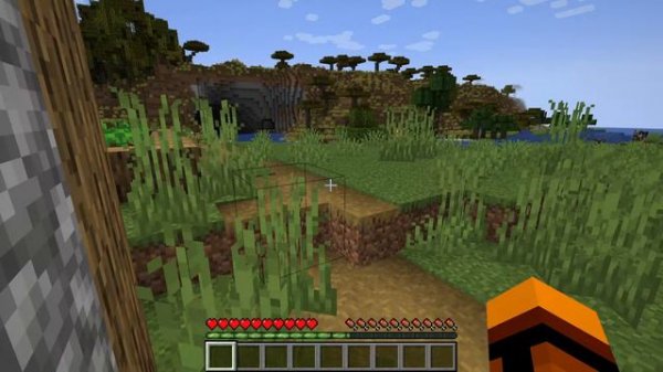 MINECRAFT играет baby Fox