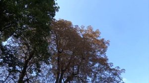 Могила Анны Герман / Grób Anna German