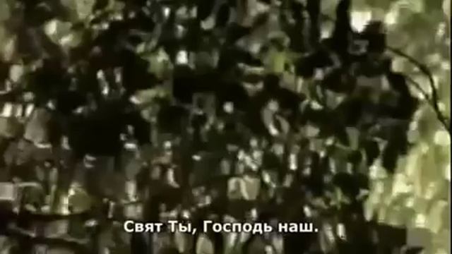 Дуа для тех у кого слабая вера смотреть онлайн