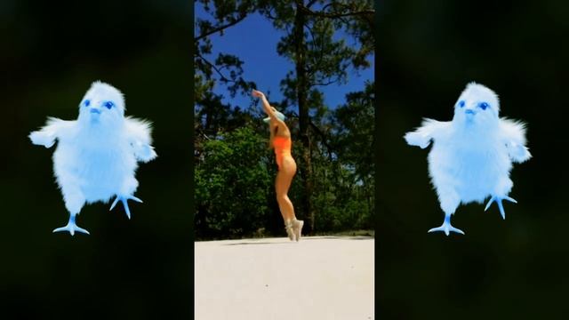 Slade - Look Wot You Dun ❤️Shuffle Dance Video смотреть онлайн