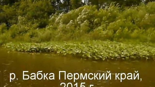Мотор- болотоход 9- 15 л.с. смотреть онлайн
