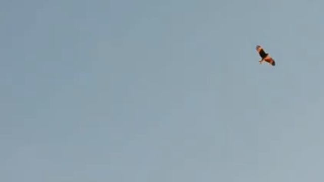 ЕЗДИЛИ НА РЫБАЛКУ КЛЕВ СУПЕР ЛЕЩИ смотреть онлайн