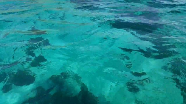 United Arab Emirates. Dubai sea. смотреть онлайн