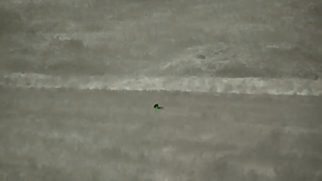 Rico RL42 rabbit hunting смотреть онлайн