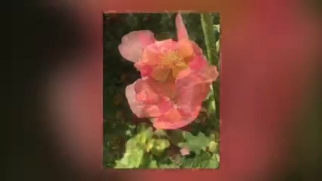 Игра красок смотреть онлайн