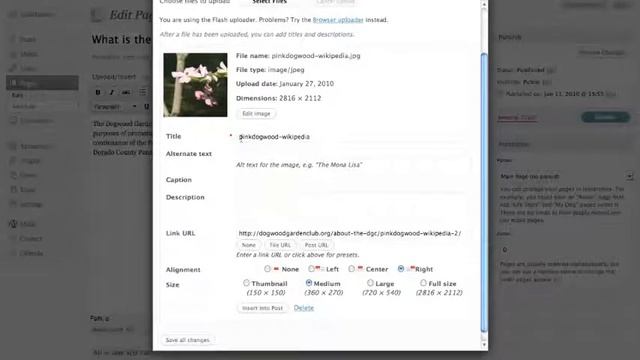 How to add a photo to a WordPress page or post смотреть онлайн