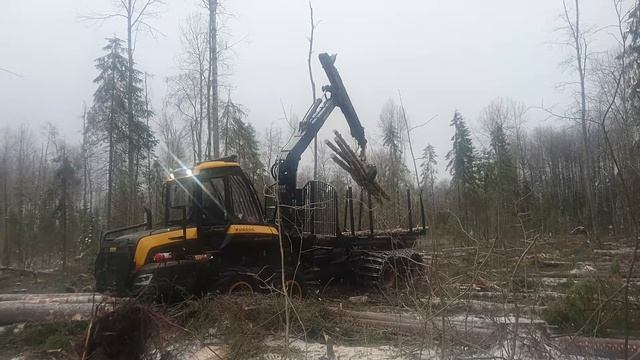 Заготовка и доставка леса на производство домов из оцилиндрованного бревна смотреть онлайн