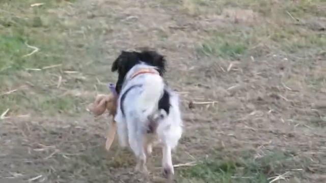 Ma maison, mon jardin смотреть онлайн