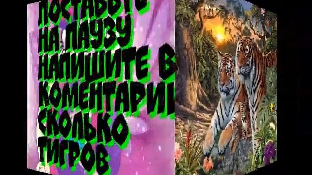 Сколько ТИГРОВ ответьте в коментарии смотреть онлайн