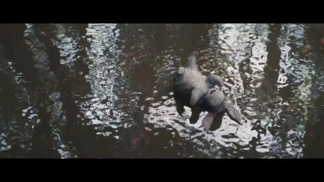 Christopher Robin Trailer #1 (2018)| Ewan McGregor, Hayley Atwell, Mark Gatiss Animated Movie HD смотреть онлайн