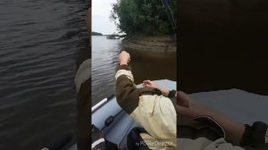 Обзор лодки Фрегат 370 air