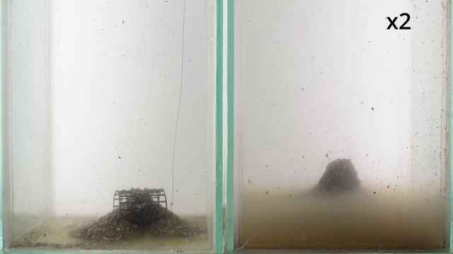 Dunaev Плотва Черная + Копра меласса смотреть онлайн