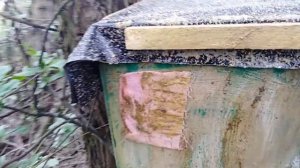 Ловля РОЕВ 2020,Где ставить ловушки,Как поймать рой,Как приманить рой в ловушку,Пчеловодство,Грибы