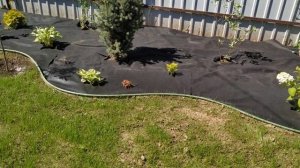 Создание миксбордера  своими руками❤️