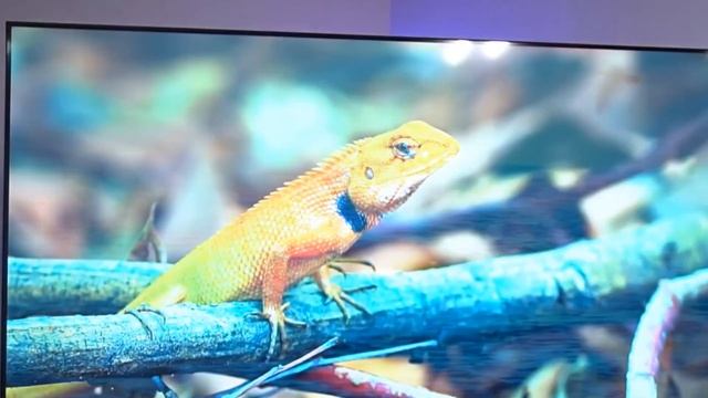 КАКОЙ ТЕЛЕВИЗОР КУПИТЬ В 2023 ГОДУ ДО 20000 РУБ? смотреть онлайн