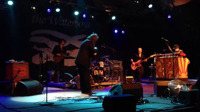 The Waterboys - White Birds