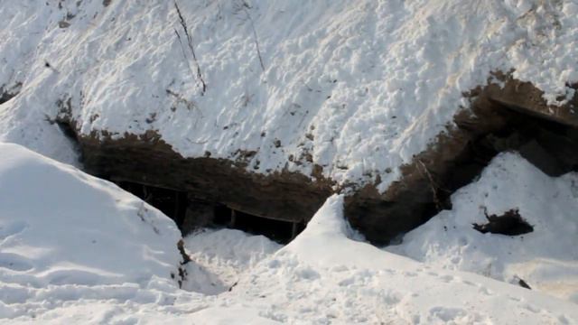 Прокуратура города Кировска: незаконная добыча угля смотреть онлайн