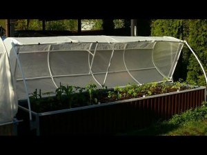 Высокая грядка, парник из труб ППР, грядка с водяным подогревом