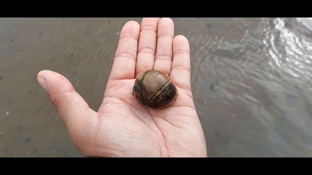 Рыбалка в Магаданской области! смотреть онлайн