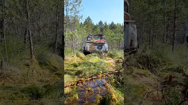 ЕНОТ LIFE смотреть онлайн