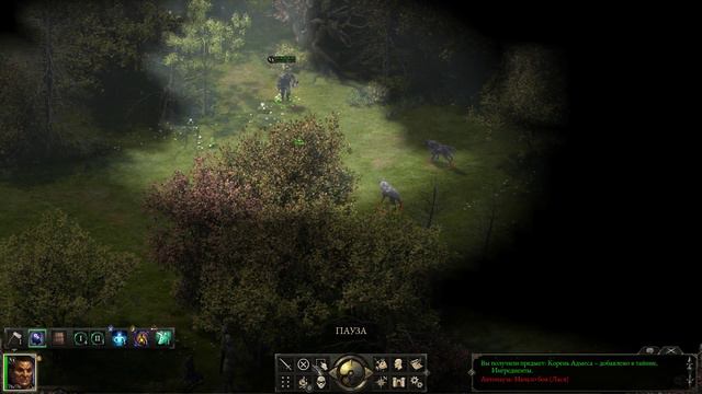 Пробуем Друида►Pillars Of Eternity►Путь проклятых Соло друид►4