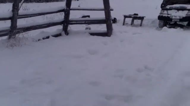 Проверка капканов день 2 смотреть онлайн