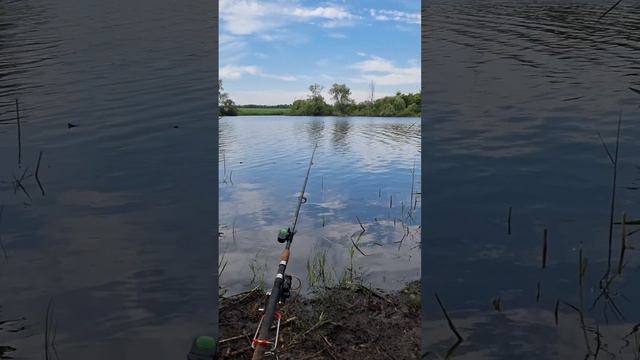 Рыбалка пруд окунь кормушка сеть смотреть онлайн