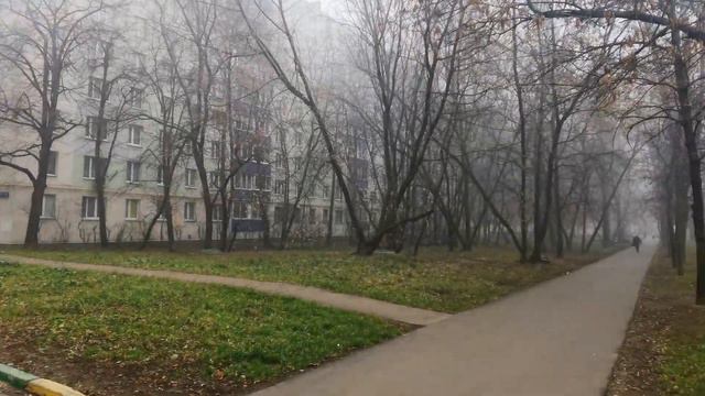 Туман