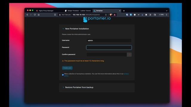 coba nginx proxy manager and portainer смотреть онлайн