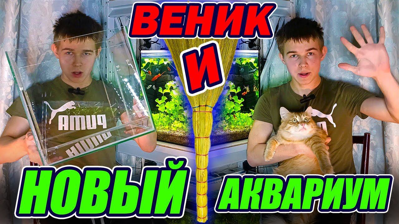 ВЕНИК и НОВЫЙ АКВАРИУМ на разводне аквариумных растений смотреть онлайн