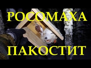 ОХОТА НА СОБОЛЯ Серия № 17 Неожиданный СЮРПРИЗ