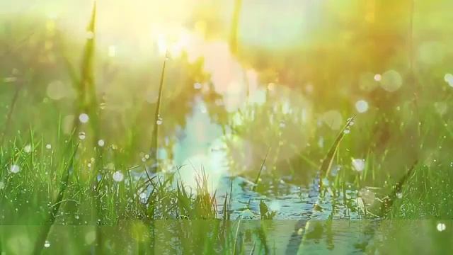 Коран для Успокоения Нерв ,Души, Сердца.от Усталости смотреть онлайн