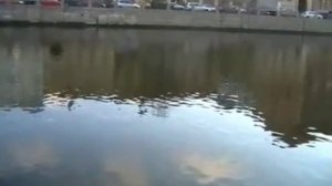 АННА ГЕРМАН - НЕЖНОСТЬ - YouTube