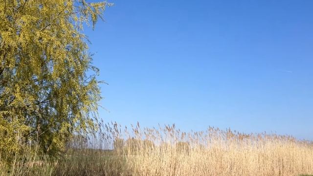 Cycling Trip - Dieburg to Babenhausen, Germany смотреть онлайн